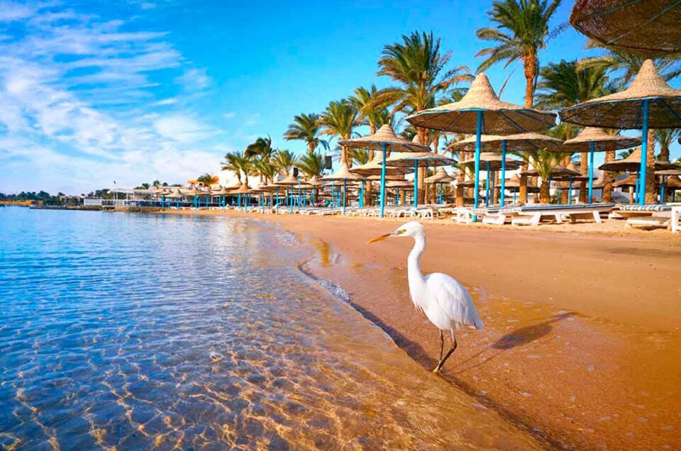 Why a Boat Trip in Hurghada Should Be on Your Bucket List 🚤
